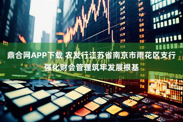 鼎合网APP下载 农发行江苏省南京市雨花区支行强化财会管理筑牢发展根基